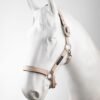B Vertigo Hardwick Halter