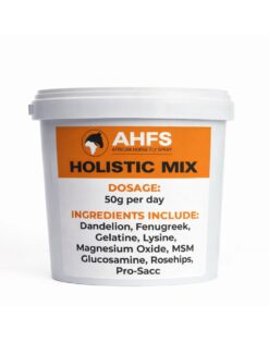 natural horse supplement for digestion and coat health