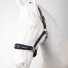Huntington Halter