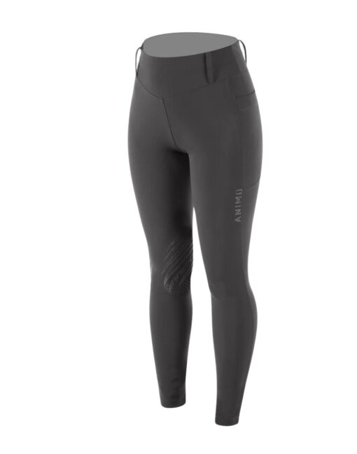 Animo Breeches Nash Dolphin
