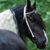 Breyer Battlefield Angel Traditional Series model horse with detailed sculpting and dynamic pose