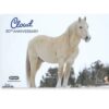 Breyer Cloud 30th Anniversary white Arabian model horse with refined detail