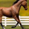 Breyer CollectA Thoroughbred Mare Bay vinyl model horse with detailed bay colouring