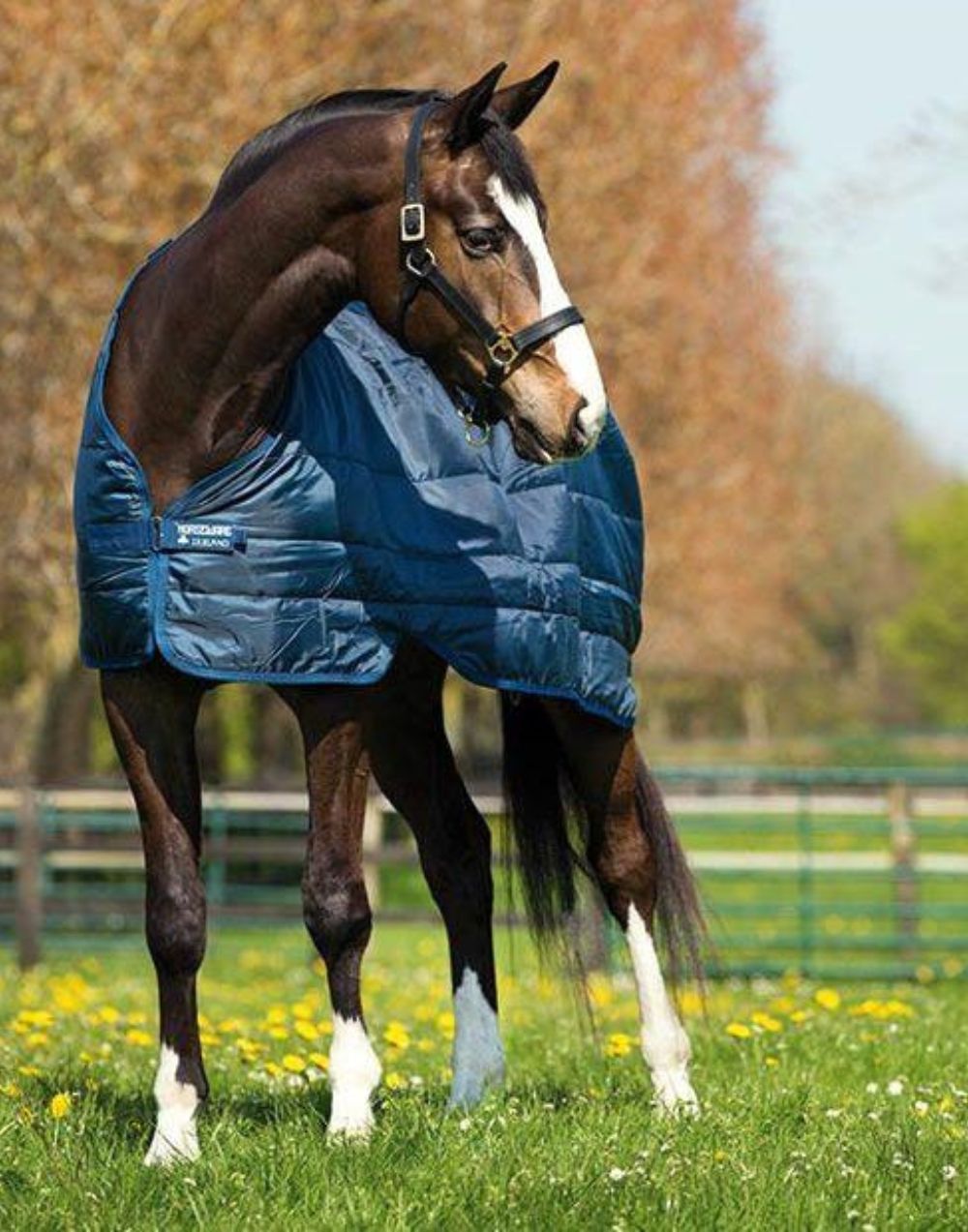 horseware 100g comfort rug liner lightweight breathable liner for adding warmth to horse rugs