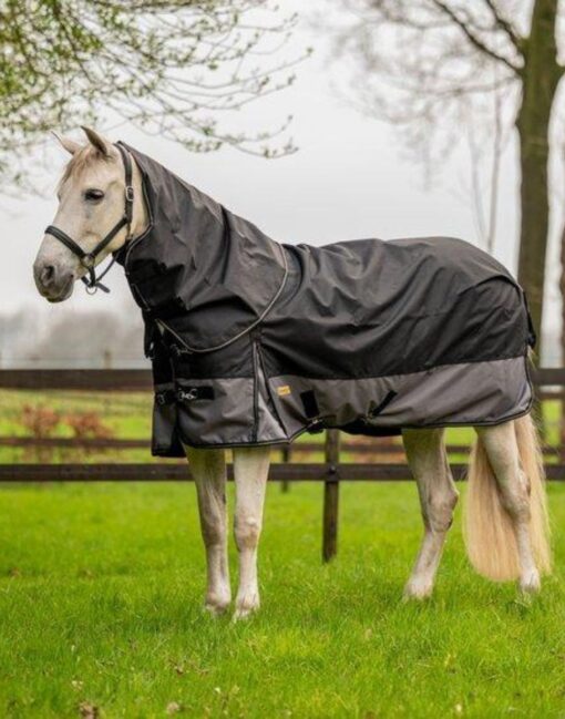 Loveson Turnout Rug 200g