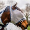 Mio Fly Mask White Navy No Ears on horse