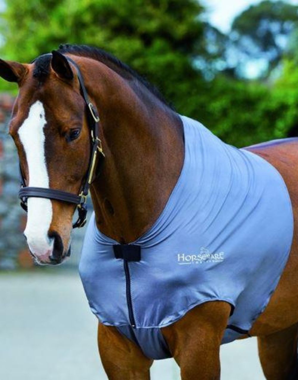 rambo slinky shoulder lycra horse shoulder guard designed to prevent rubbing and protect the coat