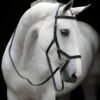 Rambo Micklem Competition Bridle Black comfortable anatomical leather bridle for horses