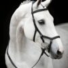 Rambo Micklem Competition Bridle Black comfortable anatomical leather bridle for horses