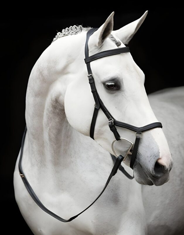 Competition Black Rambo Micklem Bridle