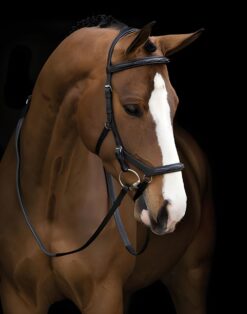 Rambo Micklem Deluxe Competition Bridle anatomical brown leather bridle for horse comfort and performance