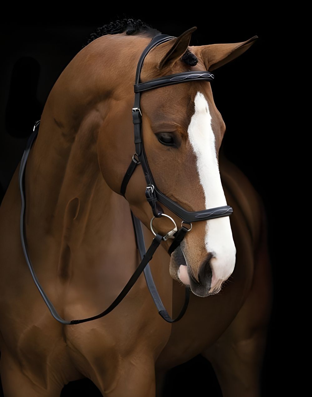 Rambo Micklem Deluxe Competition Bridle anatomical brown leather bridle for horse comfort and performance