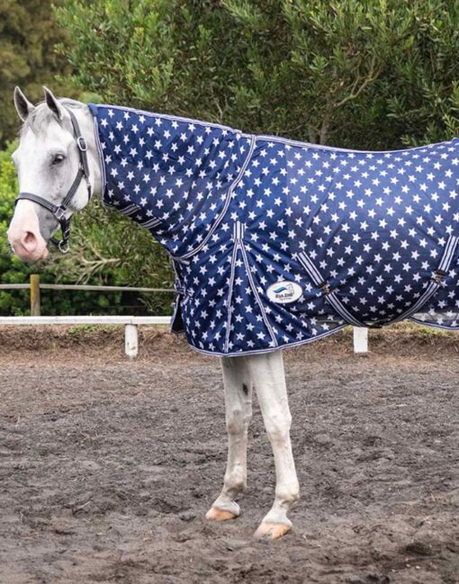 Fly Sheet, Stars