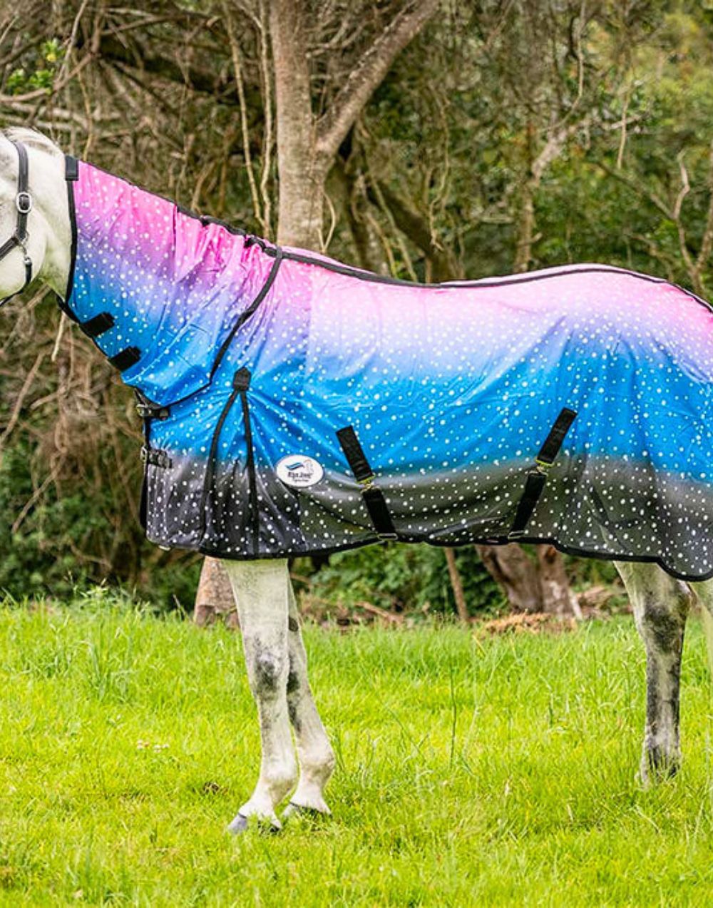 galaxy print horse fly sheet with full hood breathable mesh and secure straps for summer protection