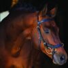 Rambo Micklem Multi Bridle black anatomical bridle with multi use functionality for horses