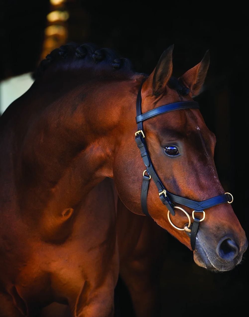 Rambo Micklem Multi Bridle black anatomical bridle with multi use functionality for horses
