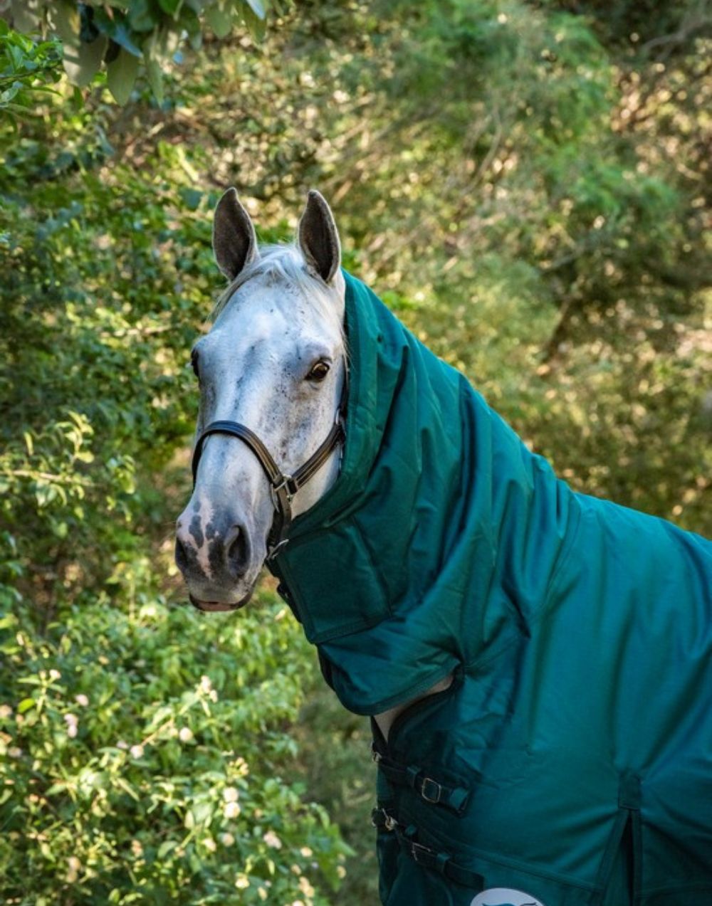 waterproof full hood horse rug with 1200D ripstop fabric and 300g fill for winter turnout protection