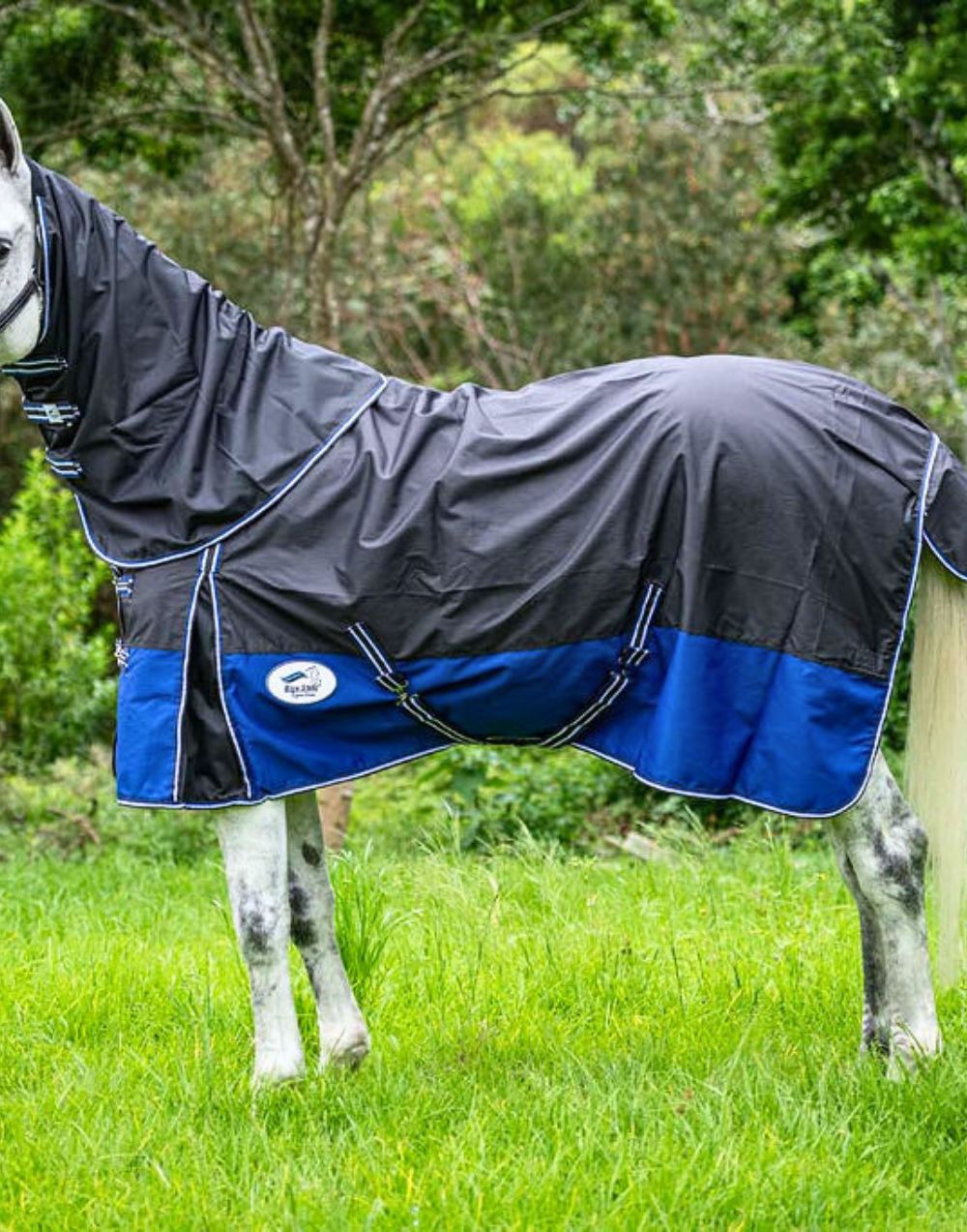 Blue Steel rain sheet lightweight waterproof horse rug with ripstop fabric and secure straps