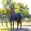 Horze Glasgow rain turnout rug 0g blueberry waterproof breathable horse sheet with ripstop fabric and secure fit