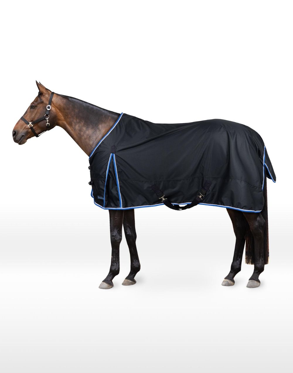 Horze Glasgow rain turnout rug 0g blueberry waterproof breathable horse sheet with ripstop fabric and secure fit