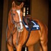 Criss Cross Numnah in Navy with distinctive criss cross design, high wither cut and plush padding, machine washable equestrian saddle pad
