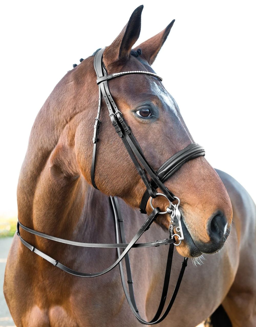 Horze Laelia Leather Continental Reins with evenly spaced leather stoppers and hook and stud closure