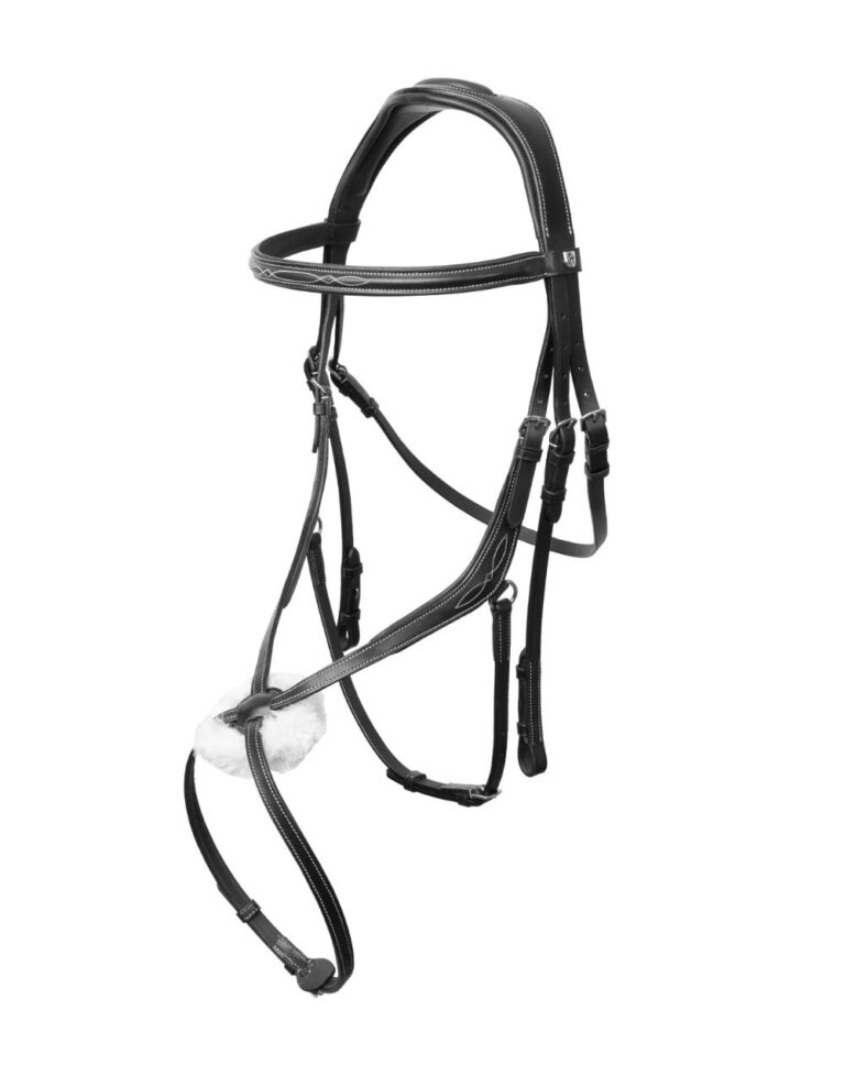 Monterrey Grackle Bridle