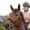Horze Clermont Anatomic Leather Bridle with crystal chain browband and padded neckpiece