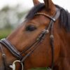 Horze Clermont Anatomic Leather Bridle with crystal chain browband and padded neckpiece