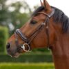 Horze Clermont Anatomic Leather Bridle with crystal chain browband and padded neckpiece