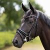 Horze Clermont Anatomic Leather Bridle with crystal chain browband and padded neckpiece