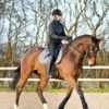 Horze Brushing Boots 8mm neoprene with polyester jersey lining sporty athletic style