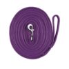 Horze Lunging Line soft cushioned webbing with durable snap in bright colour options